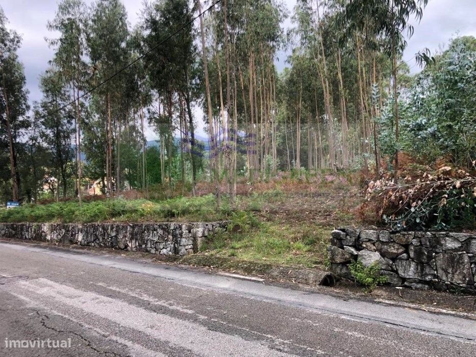 Terreno Para Construção | Silva Escura - Sever Do Vouga