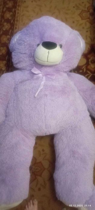 Продам ведмедя Самовивіз