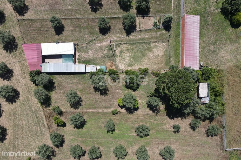 Terreno São Facundo - Coimbra
