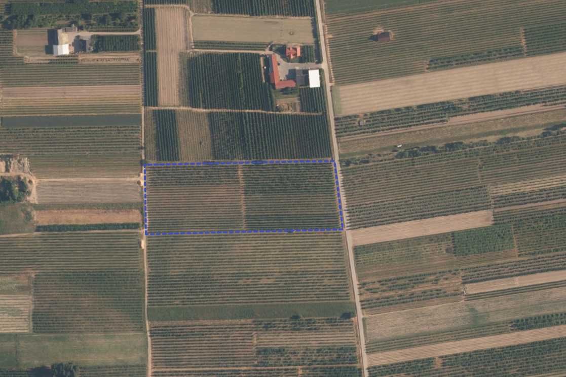 Sprzedam działkę z sadem 2.56 ha