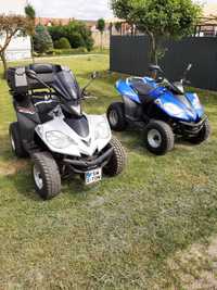 Quad E-Ton Vector ST 250