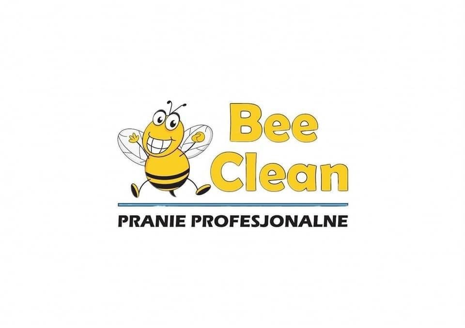 Pranie Profesjonalne, Tapicerki Meblowej pranie dywanów,  karcher