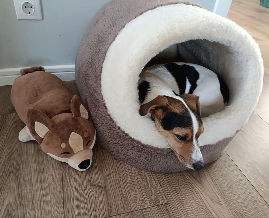 Теплий хутряний будиночок хатинка лежанка для собачки котика 2 розміри