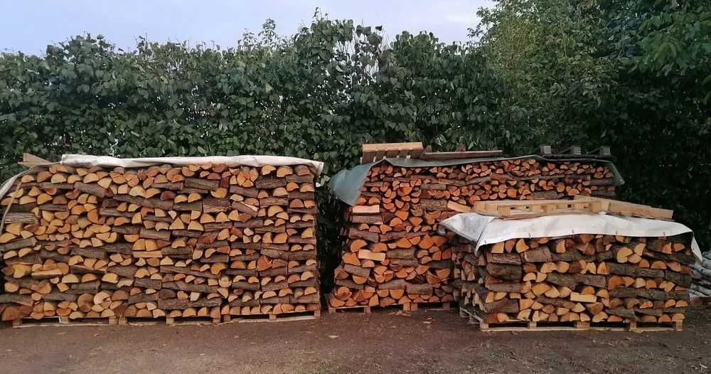 buk dab jesion grab wiaz klon brzoza do wyboru