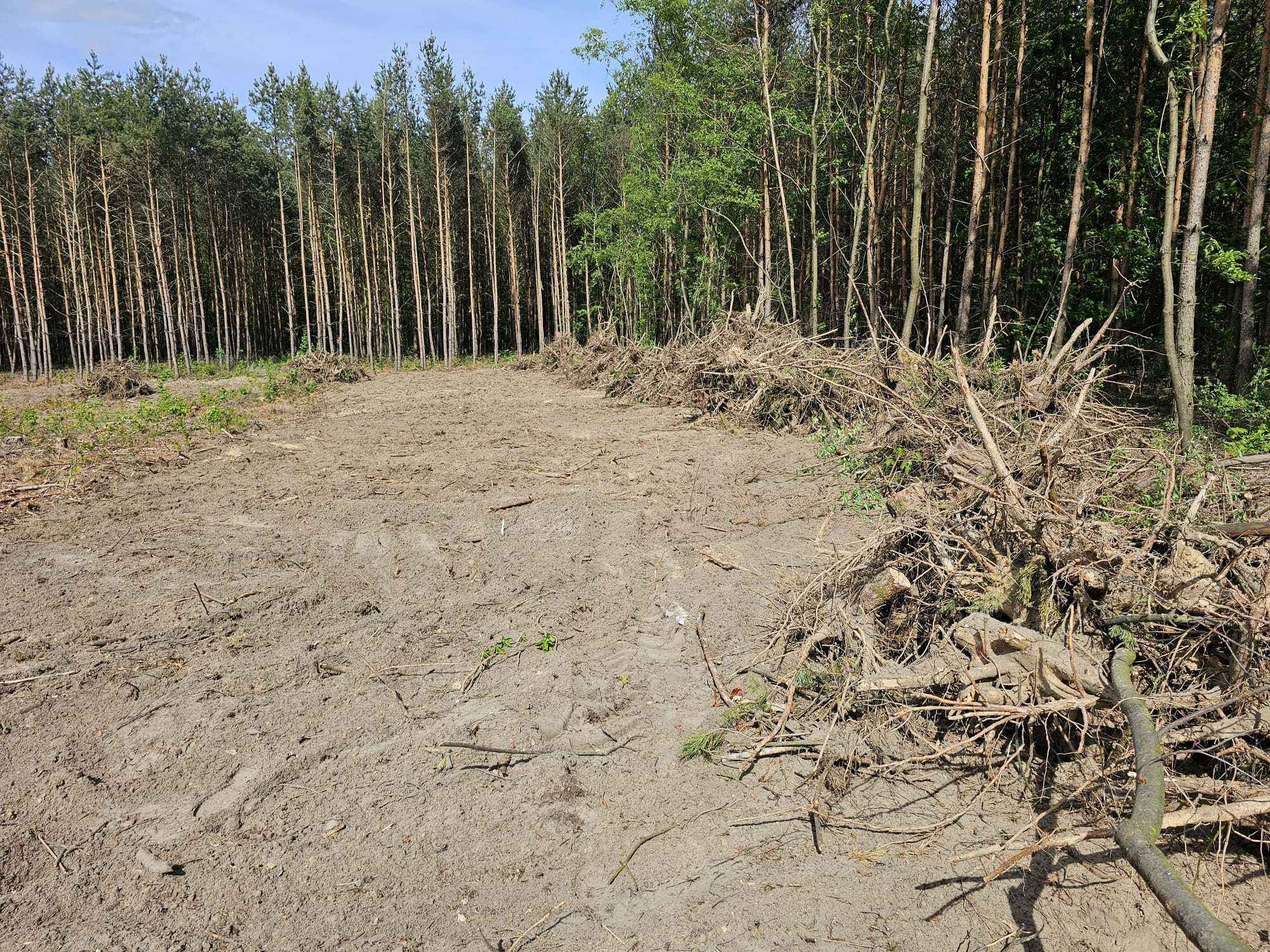Wycinka KARCZOWANIE SAMOSIEWU/Sadów/Cięcia trzebieżowe/Działki  inwest