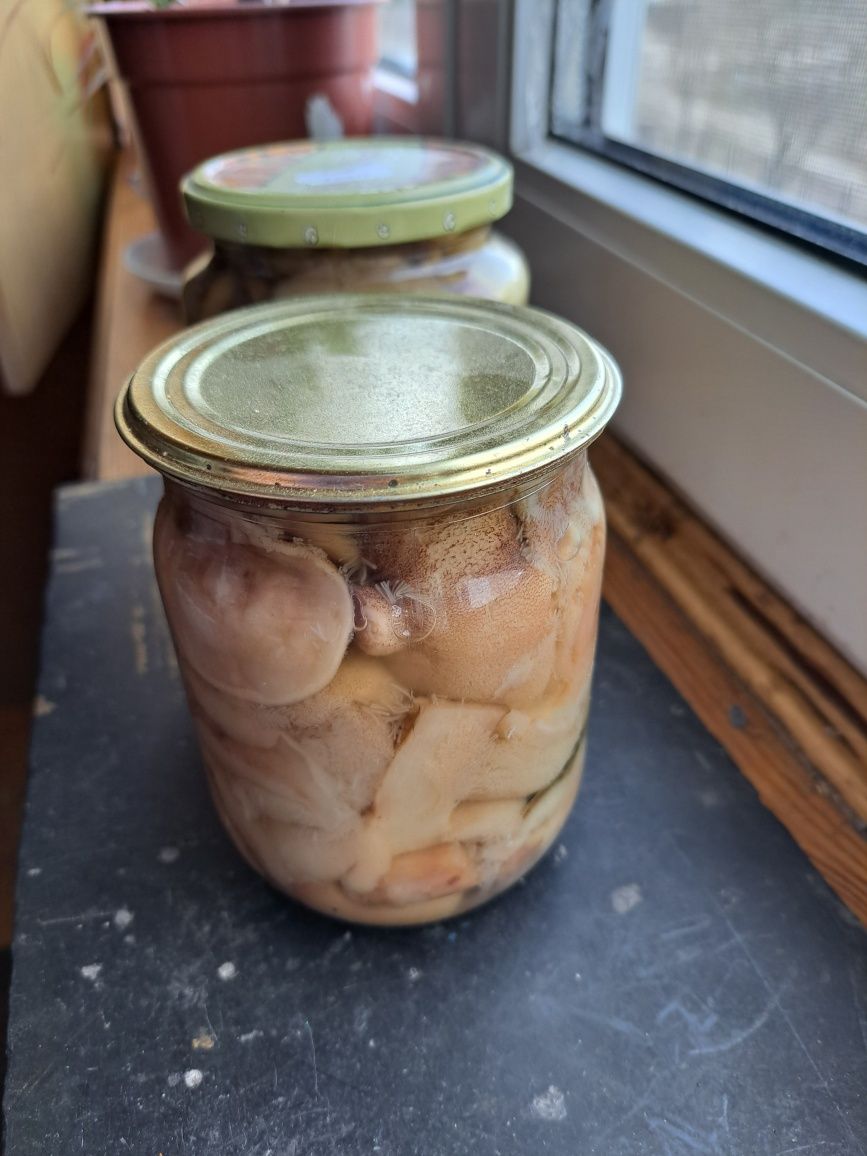 Маслята консервированные