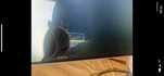 Vendo monitor da HP 24" com tela partida *ver fotos*