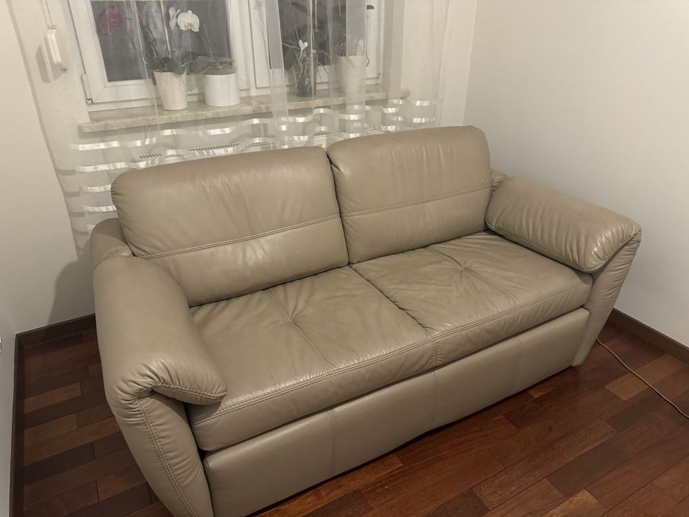 Etap sofa Frizantte 2,5 z funkcją spania w skórze G22