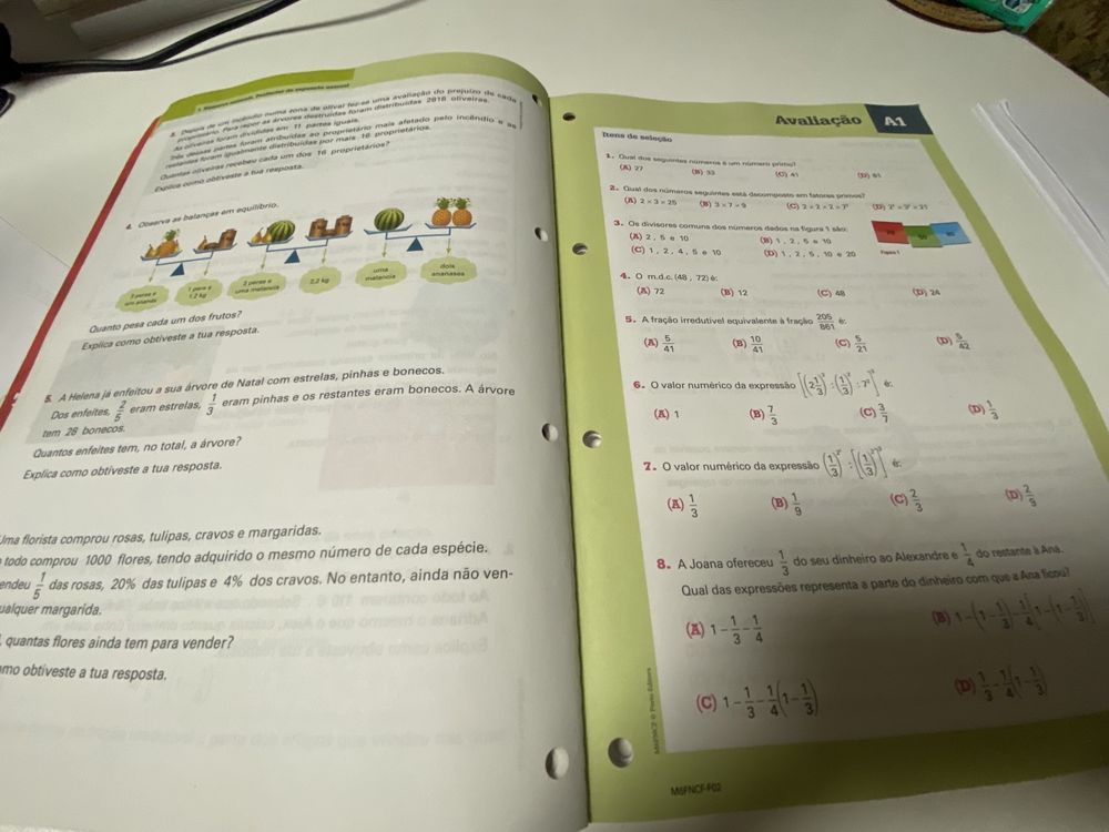 Matemática 6 - caderno de fichas, novo