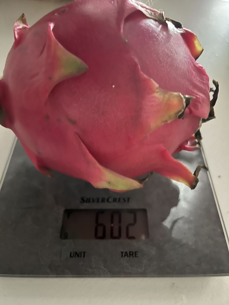 Pitaya fruto do dragão