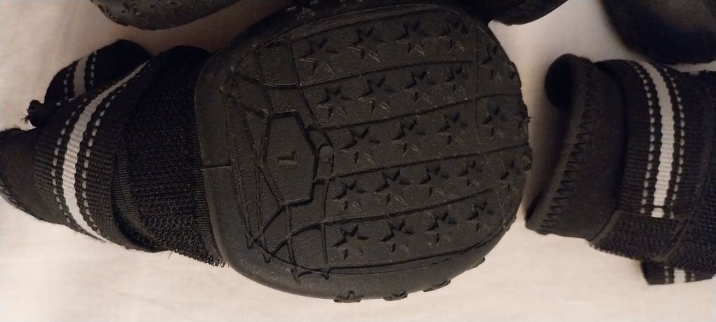 Botas novas n. 7 para cão