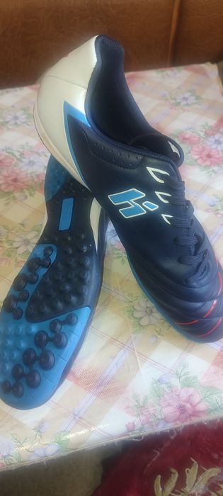 Сороконіжки huari