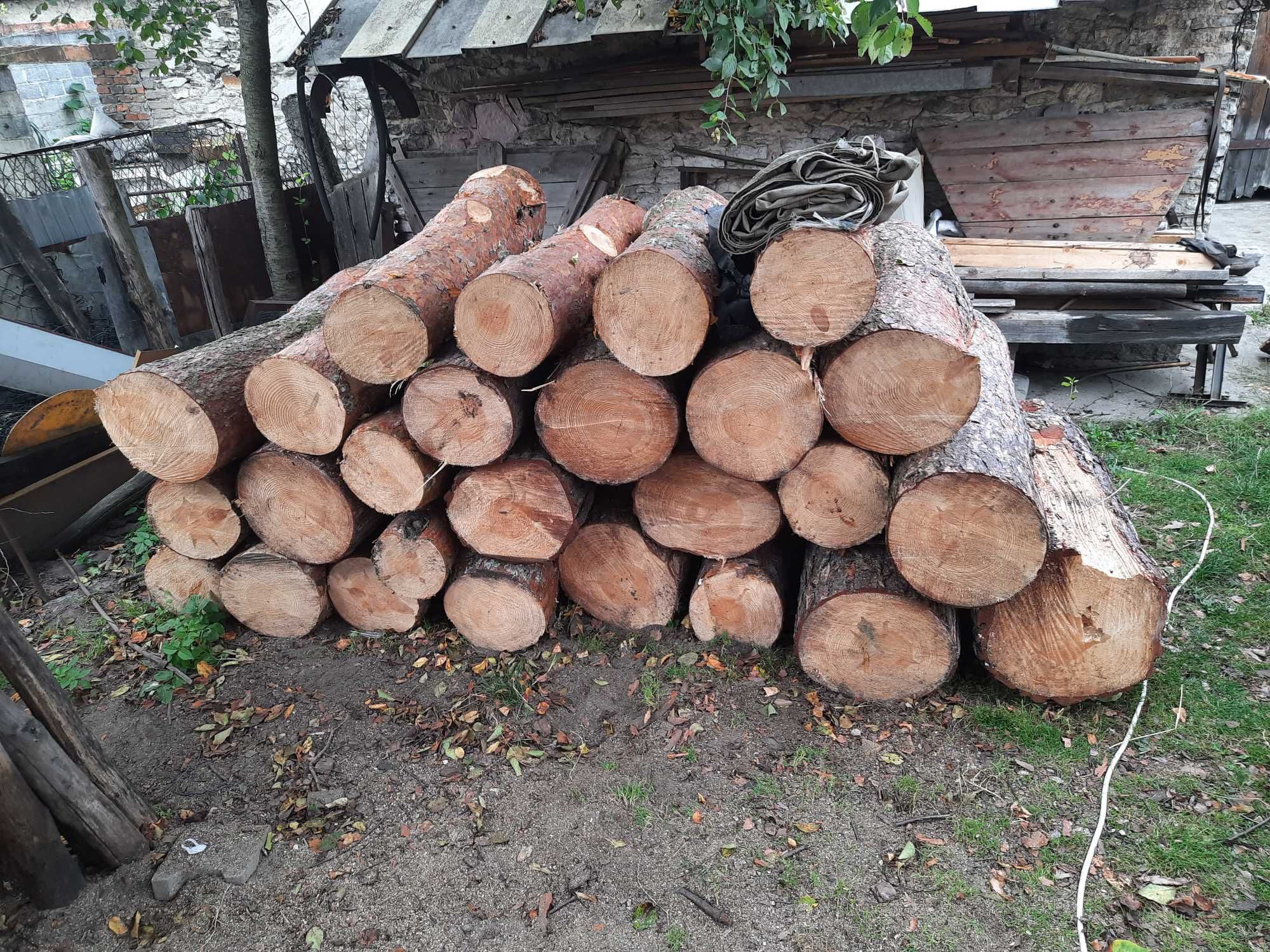 Drewno użytkowe sosna