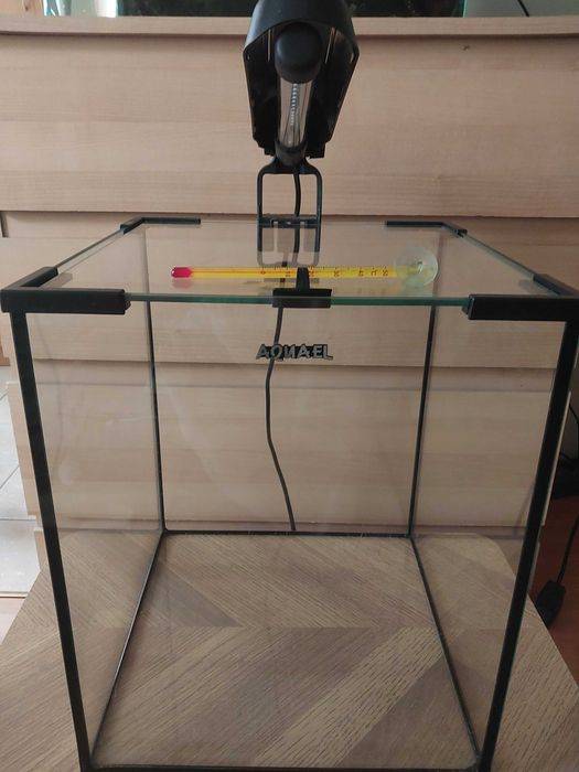 Akwarium, krewetkarium Aquael kostka 30L stan idealny