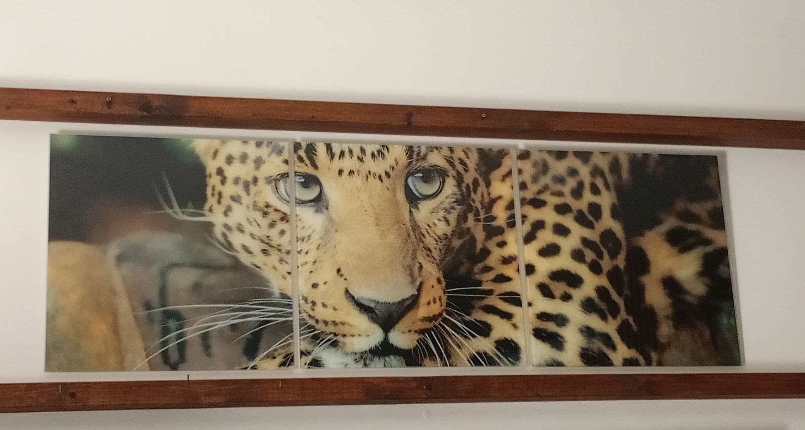 Obraz szklany afrykański lampart centki 120x40 tryptyk lampart