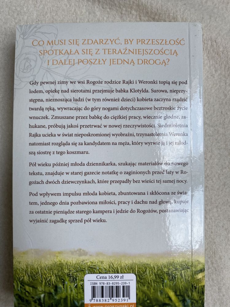 Książka Grażyna Jeromin-Gałuszka „Skradzione lato” wyd kieszonkowe