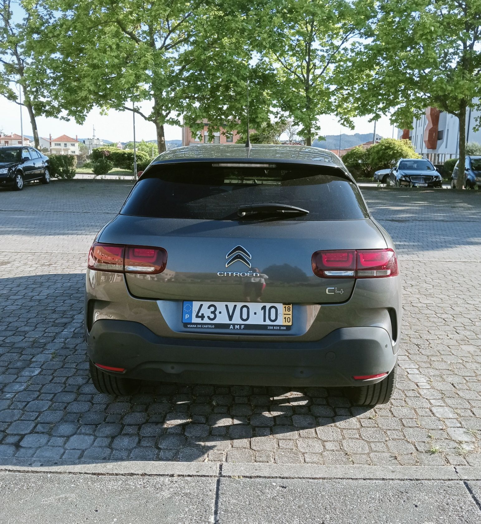 C4 Cactus PureTech Topo Gama