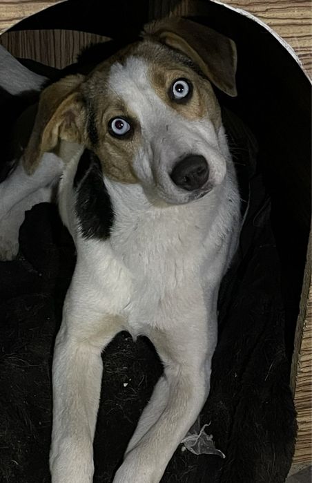 Прилаштовкється у добрі ручки !