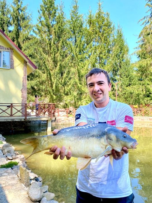 Новий рік Різдво Подобово в ШАЯН БАНЯ будинок Закарпатье Карпаты
