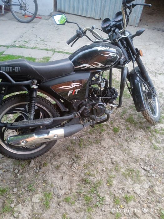 Продам мустанг фіт