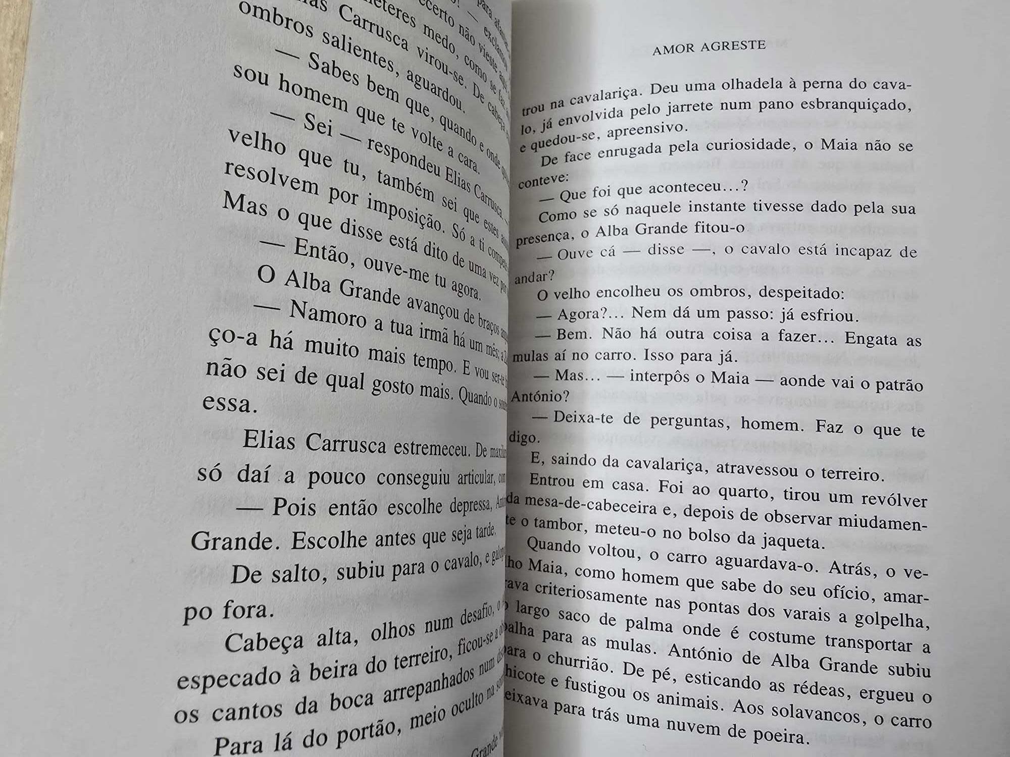 O Fogo e as Cinzas - Manuel da Fonseca