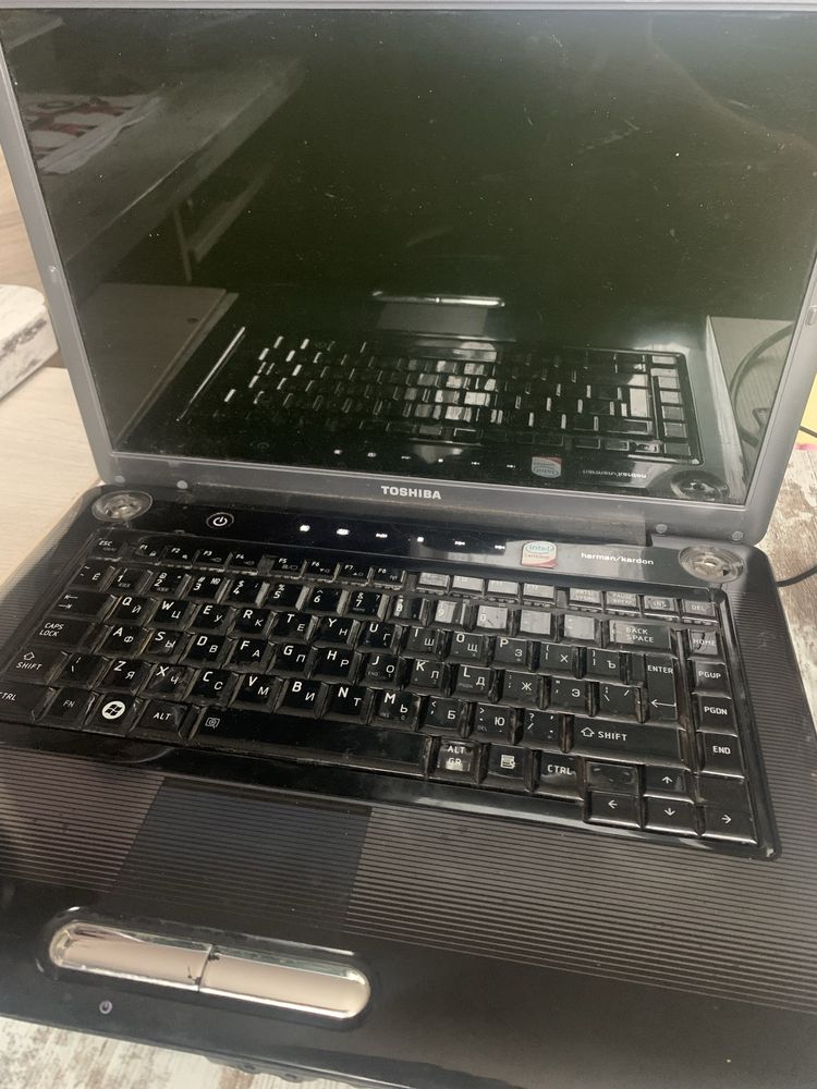 Toshiba A300. 15g