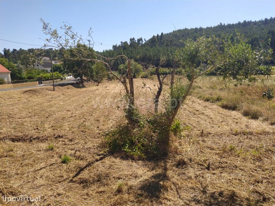 Terreno localizado em Amieira, Urqueira!