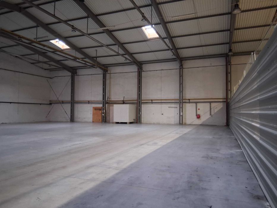 Magazyn Hala Piaseczno 1162 m2