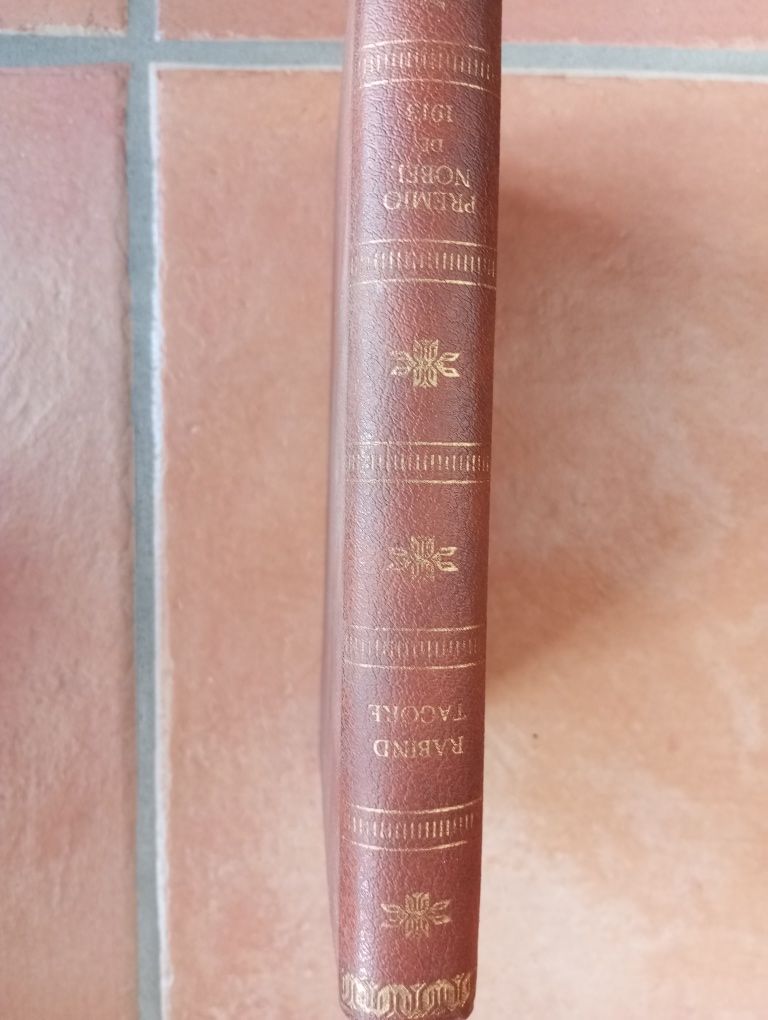 Rabindranath Tagore - Çaturanga - Autor Prémio Nobel em 1913