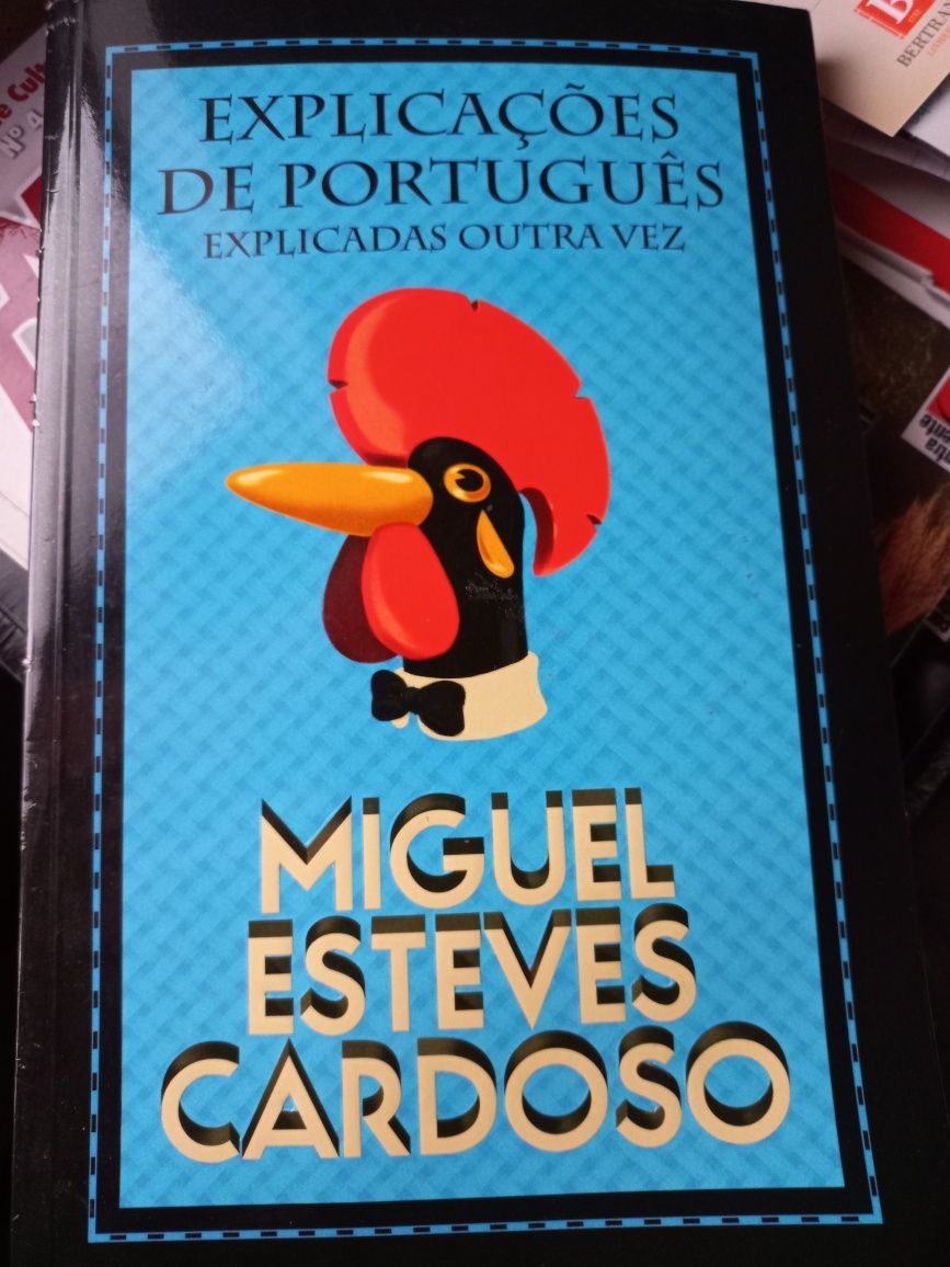 Explicações de Português Explicadas Outra Vez
