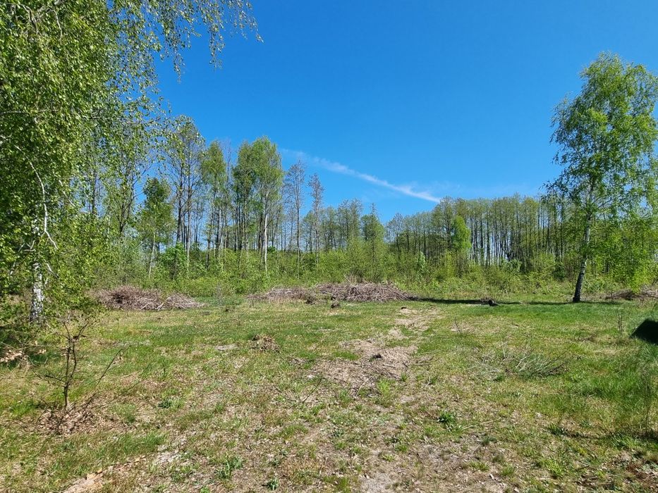 Sprzedam bezpośrednio działkę budowlaną k. Serocka - 30min do Warszawy