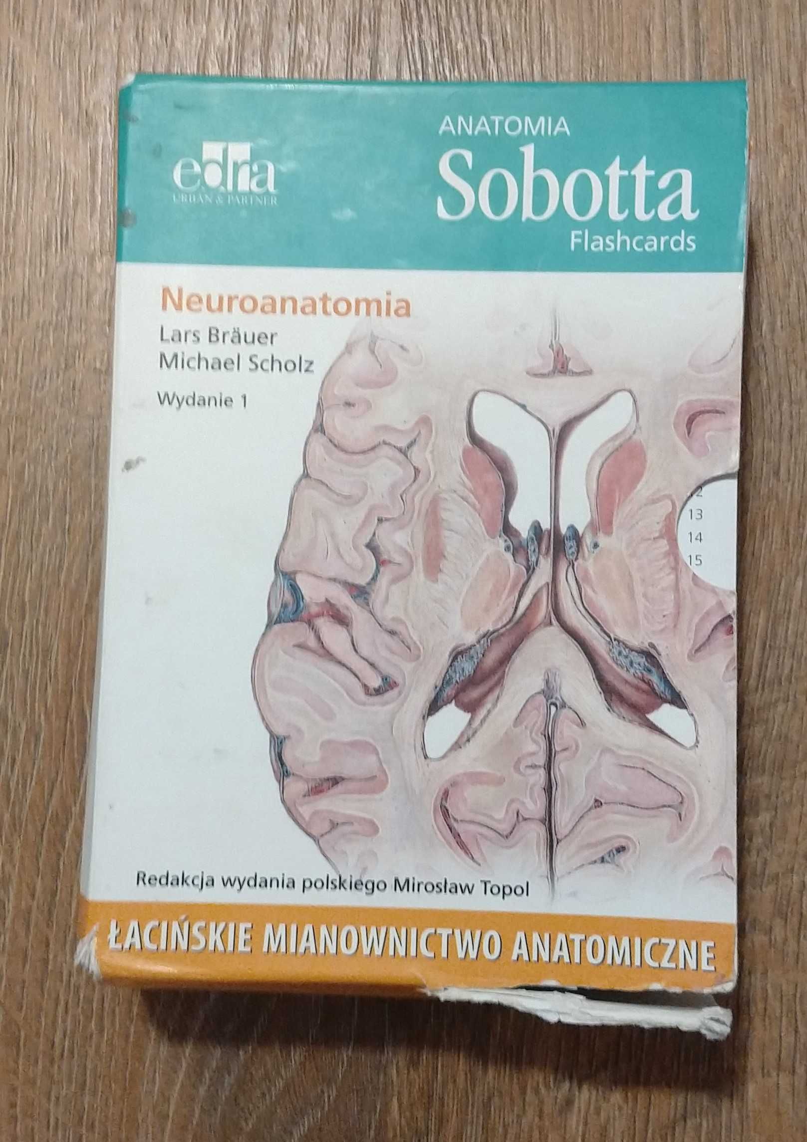 fiszki Sobotta mięśnie, stawy więzadła; neuroanatomia; układ mięśniowy