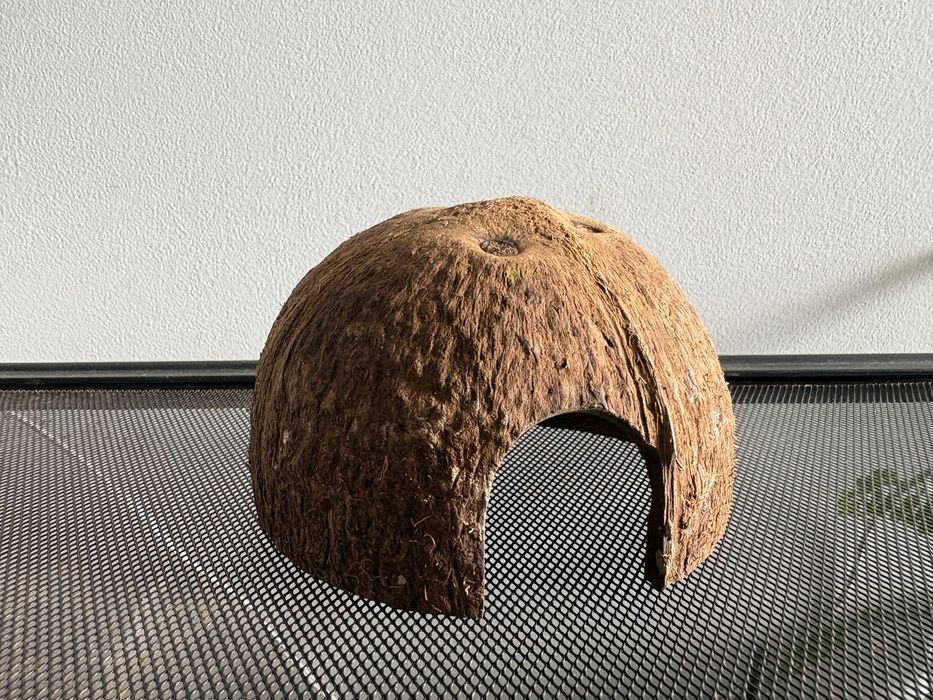 Kryjówka z kokosa do terrarium