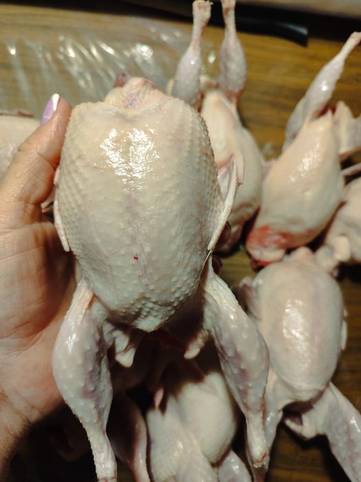 Тушки перепела по 250 грн