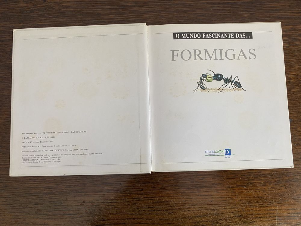 O mundo fascinante das formigas