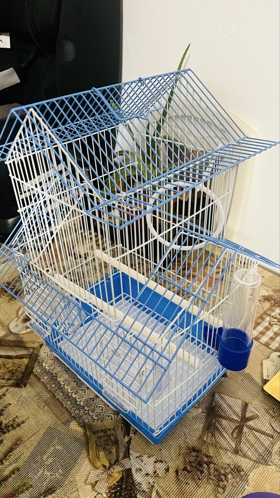 jaula está novo com dois tubos de água e tem de escolher em casa