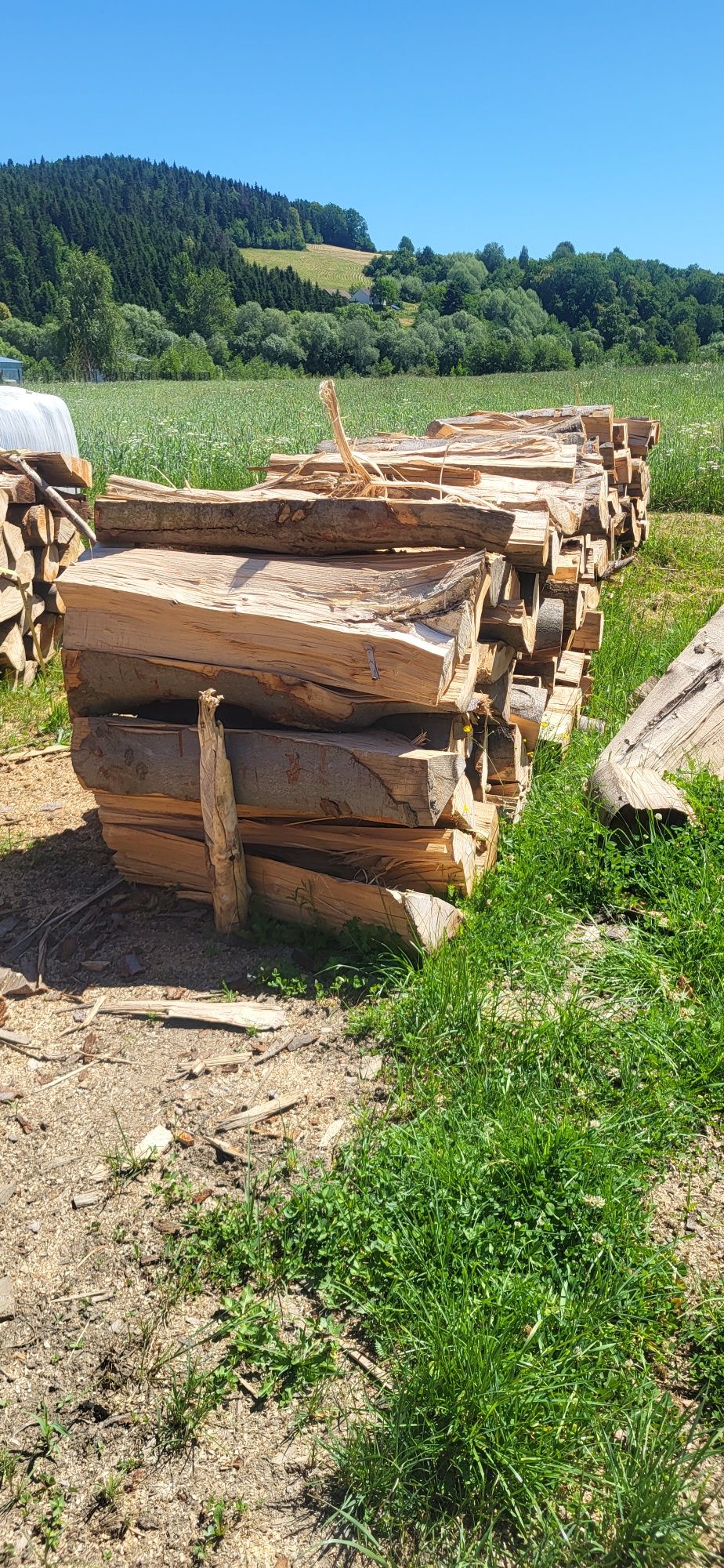 Drewno opałowe Buk przeschnięty jak i świeży