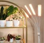 Lampa do roślin uprawowa z timerem i statywem mr Light