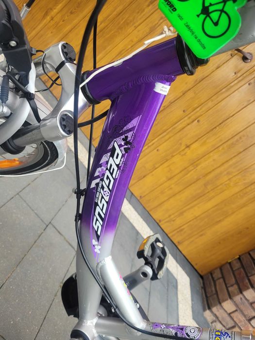 Rower Pegasus 20"