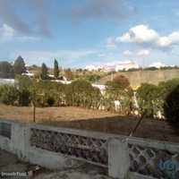 Terreno em Leiria de 50000,00 m2