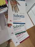 Sobotta Atlas anatomii człowieka tomy 1-3