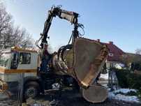 Dąb w klocu kłoda monolit 120 140 cm średnica