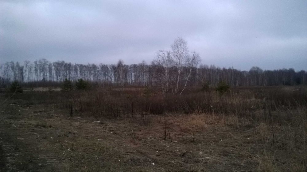 Продам земельну ділянку 1 га за межами села Рожівка, Броварський район