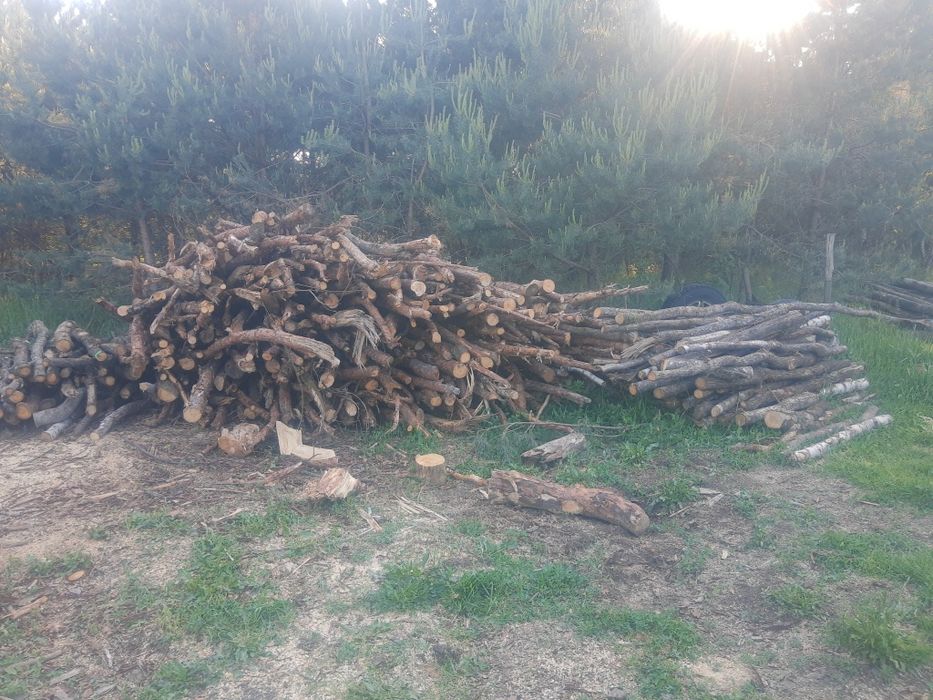 Drewno kominkowe i opałowe Buk dąb brzoza z Transportem