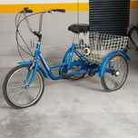 Tricicleta / triciclo