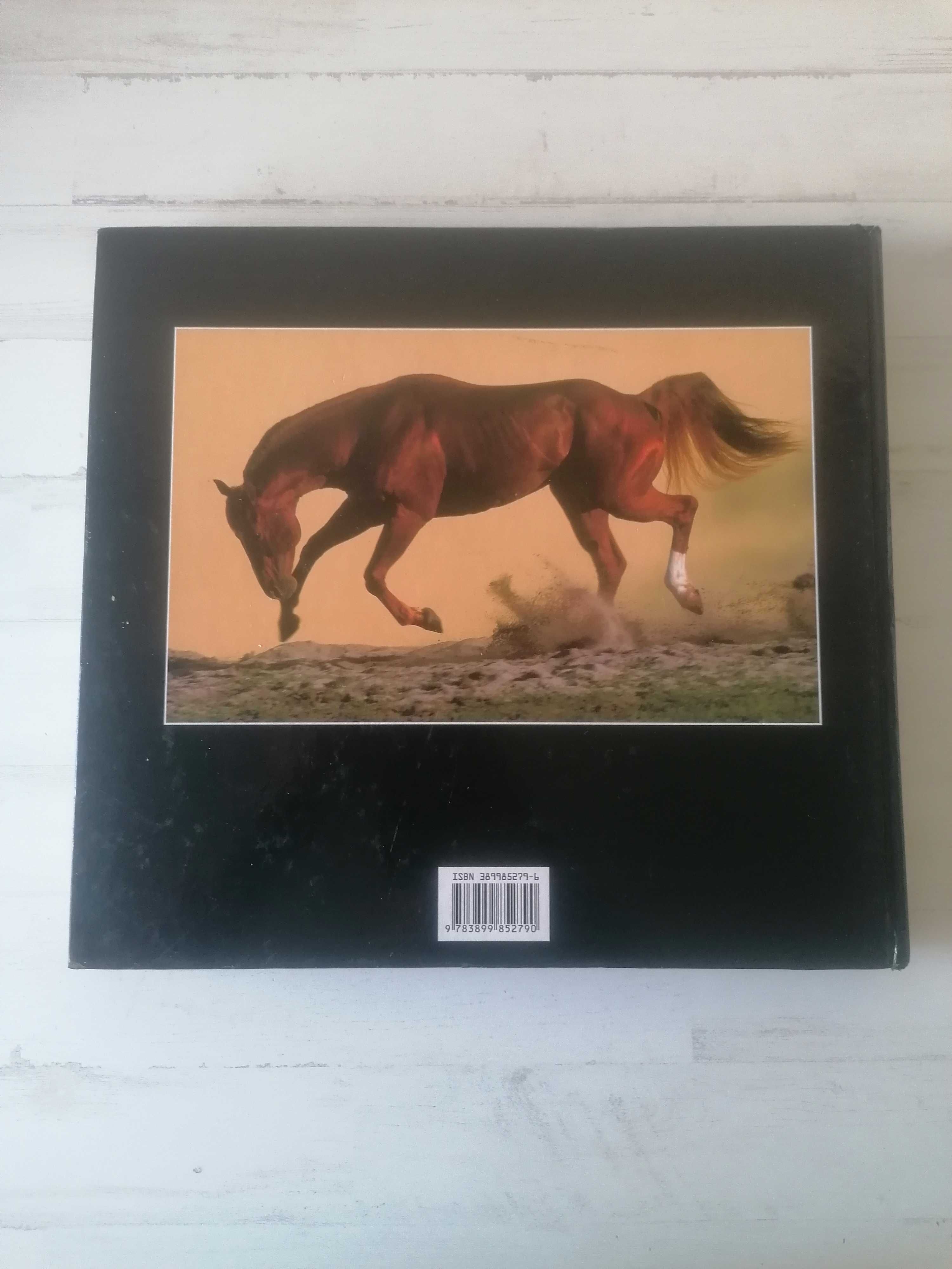 Livro Fascinación Caballo Espanhol Cavalos Equitação