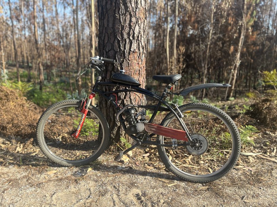 Bicicleta motorizada