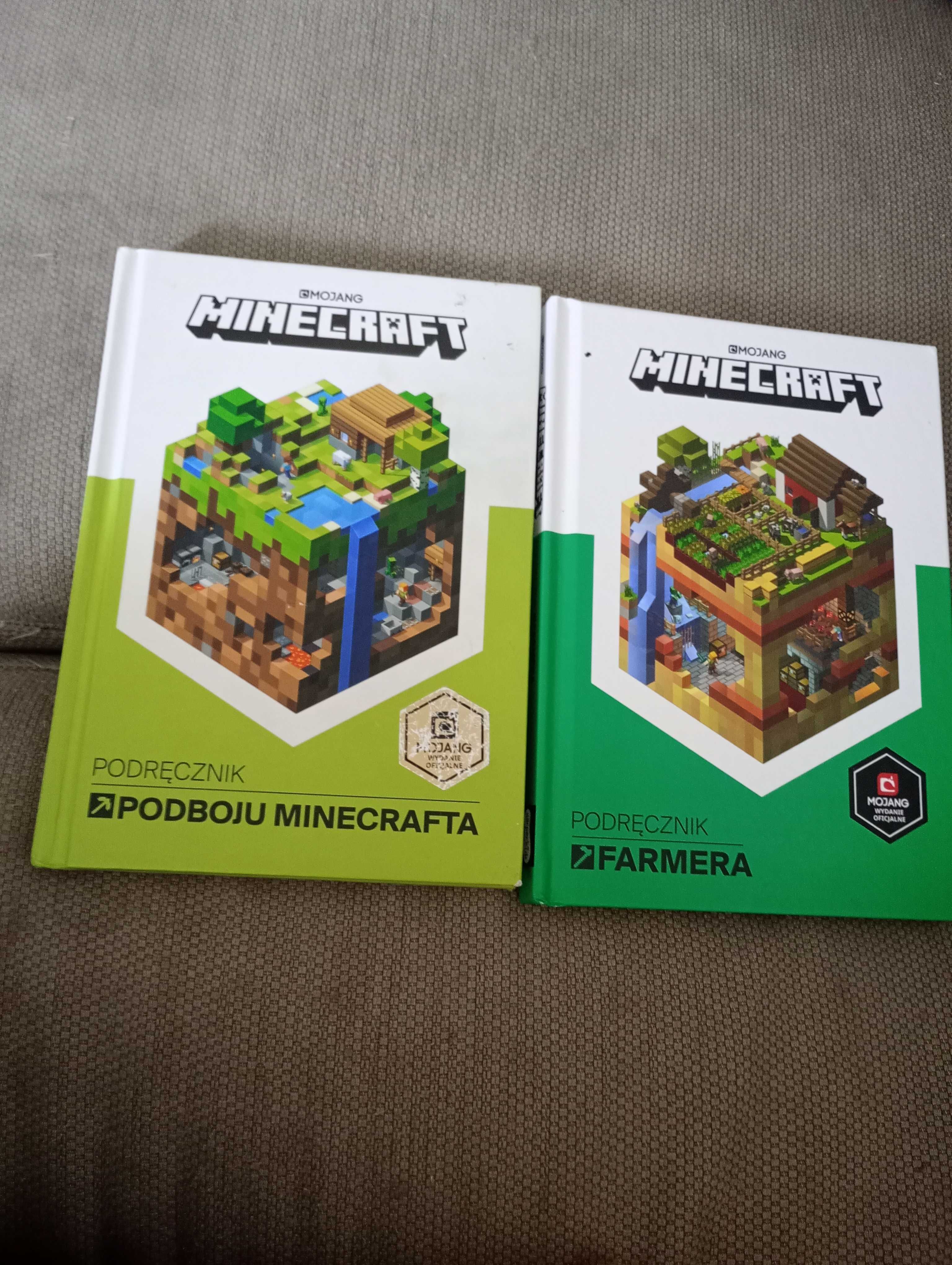 Minecraft książki