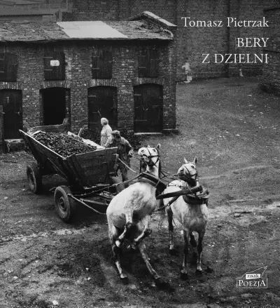 Bery Z Dzielni Wizerunkowe