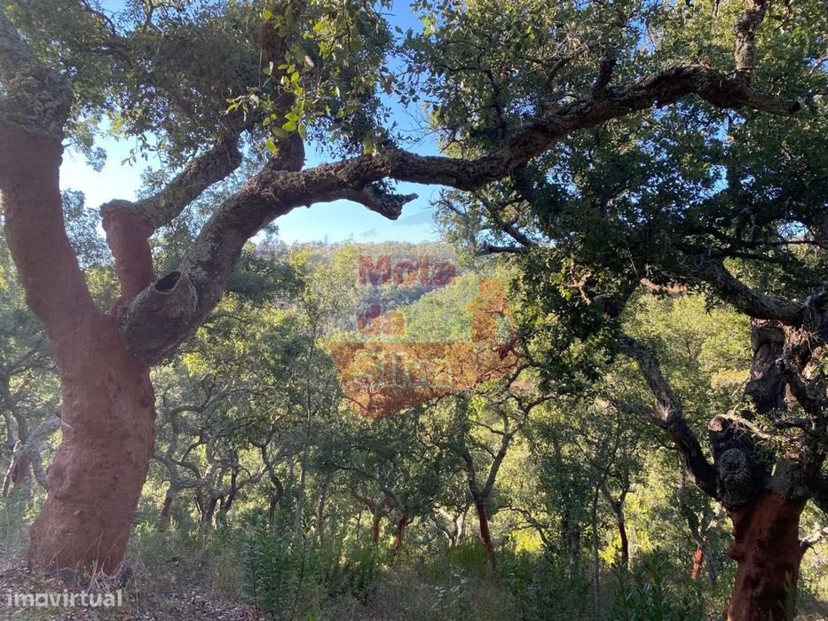 Terreno em São Francisco da Serra